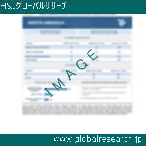 グローバルリサーチ調査レポートのイメージ
